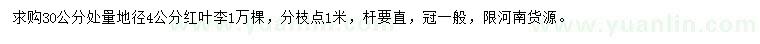 求購(gòu)30公分處量地徑4公分紅葉李