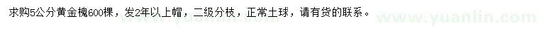 求購5公分黃金槐