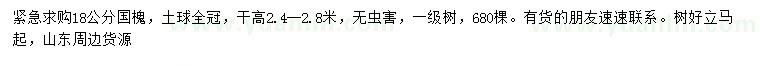 求購18公分國槐