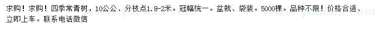 求購10公分常青樹