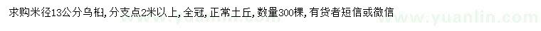 求購米徑13公分烏桕