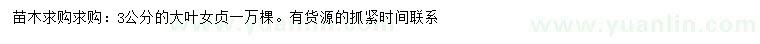 求購3公分大葉女貞