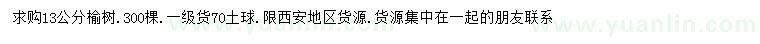 求購13公分榆樹