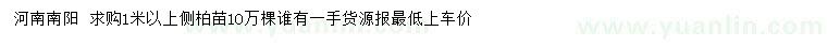 求購(gòu)1米以上側(cè)柏苗