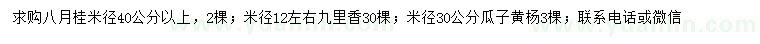 求購八月桂、九里香、瓜子黃楊