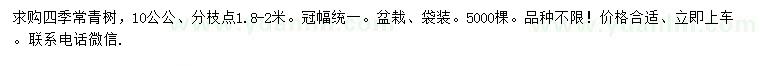 求購10公公四季常青樹