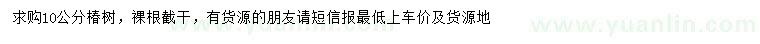 求購(gòu)10公分椿樹