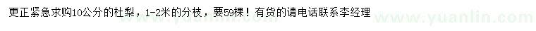求購10公分杜梨
