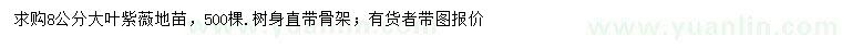 求購(gòu)8公分大葉紫薇