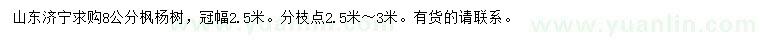 求購8公分楓楊樹