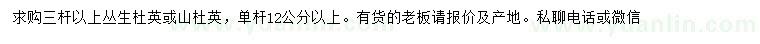 求購(gòu)3桿以上叢生杜英、山杜英