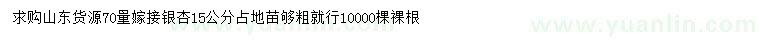 求購70公分量嫁接銀杏