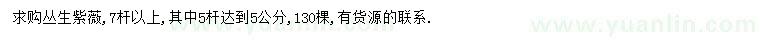 求購(gòu)7桿以上叢生紫薇