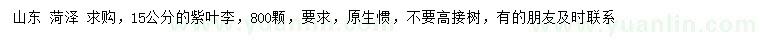 求購15公分紫葉李