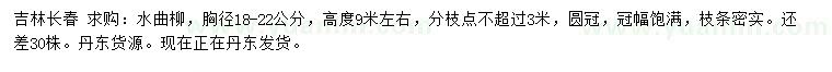 求購胸徑18-22公分水典柳