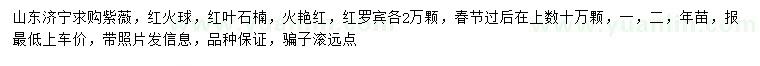 求購(gòu)紫薇、紅火球、紅葉石楠等