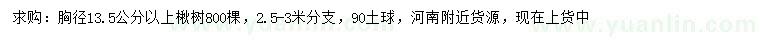 求購胸徑13.5公分以上楸樹