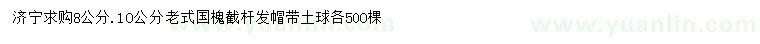 求購8、10公分老式國槐