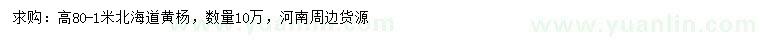 求購高80-100公分北海道黃楊