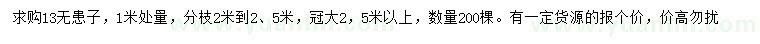 求購1米處量13公分無患子