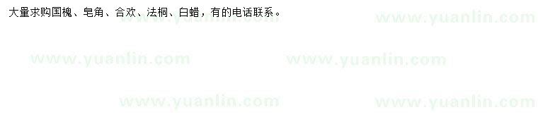 求購國槐、皂角、合歡等