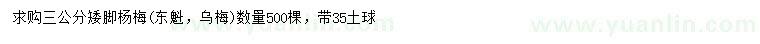 求購3公分矮腳楊梅
