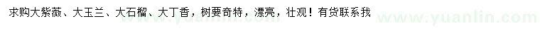 求購(gòu)紫薇、玉蘭、石榴等