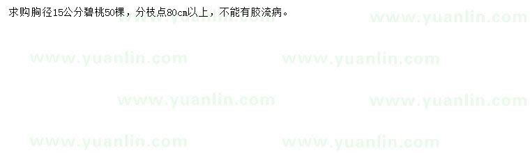 求購胸徑15公分碧桃