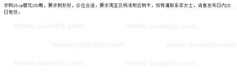 求購(gòu)15公分櫻花