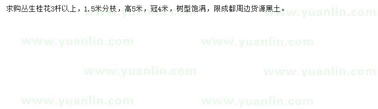 求購3桿以上叢生桂花