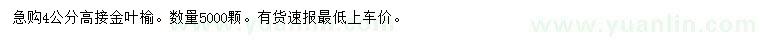 求購(gòu)4公分高接金葉榆