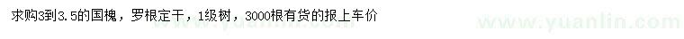求購3-3.5公分國槐