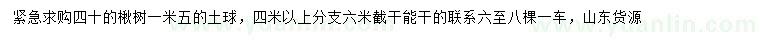 求購(gòu)40公分楸樹(shù)