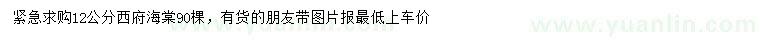 求購12公分西府海棠