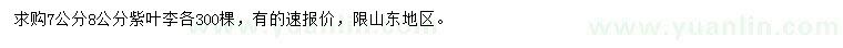 求購7、8公分紫葉李