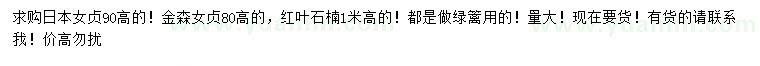 求購(gòu)日本女貞、金森女貞、紅順石楠
