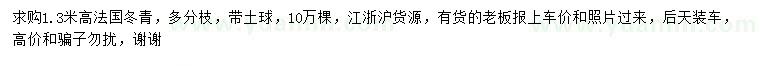 求購高1.3米法國冬青