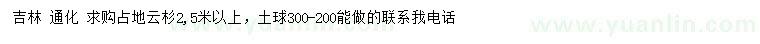 求購(gòu)2.5米以上占地云杉
