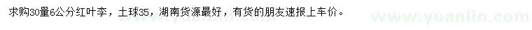 求購30量6公分紅葉李