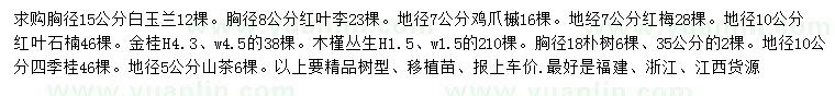 求購白玉蘭、紅葉李、雞爪槭等