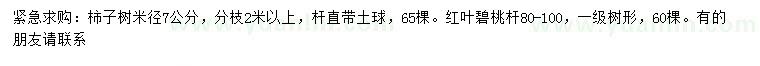 求購米徑7公分柿子樹、80-100公分紅葉碧桃
