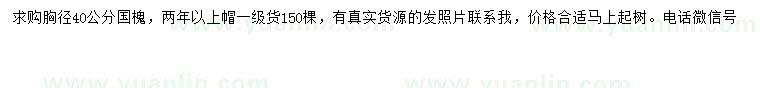 求購胸徑40公分國槐