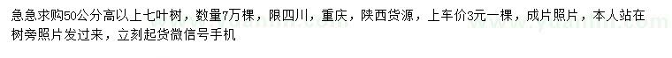 求購(gòu)高50公分以上七葉樹(shù)