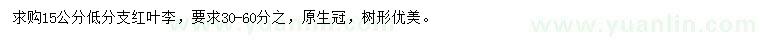 求購15公分紅葉李