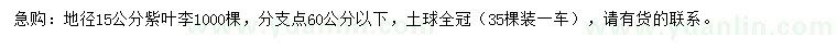 求購(gòu)地徑15公分紫葉李