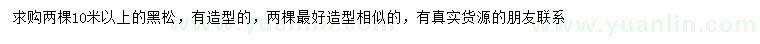 求購10米以上黑松
