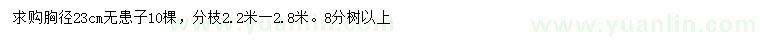 求購胸徑23公分無患子