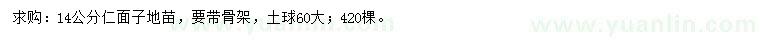 求購14公分仁面子