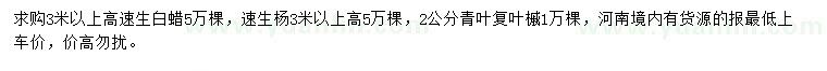 求購(gòu)速生白蠟、速生楊、青葉復(fù)葉槭