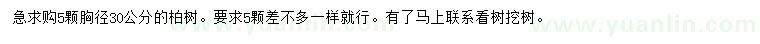 求購胸徑30公分柏樹